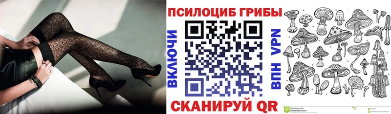 Псилоцибиновые грибы Magic Shrooms  Купить где  Полесск 